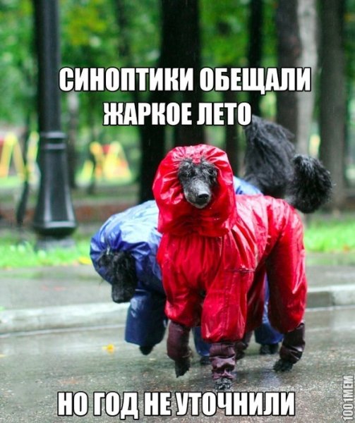 Приколы про Холодное лето