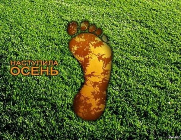 Приколы про лето