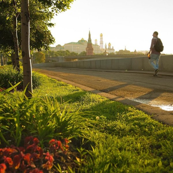 Летнее утро в городе