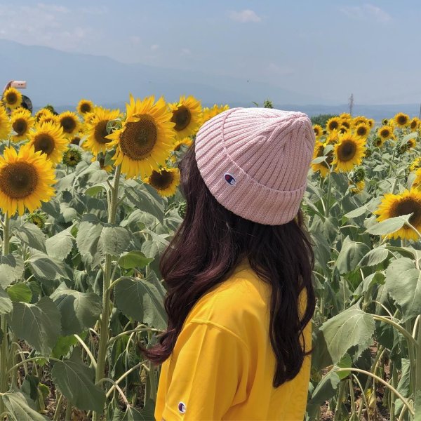 С первым днем лета