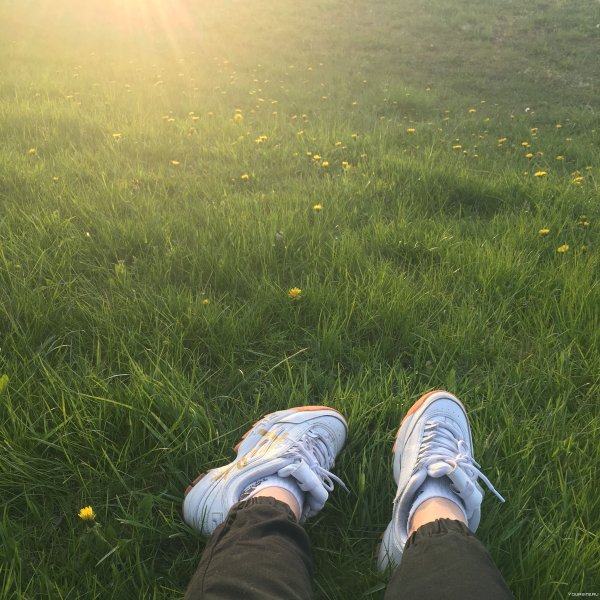 Эстетика Пинтерест коллаж