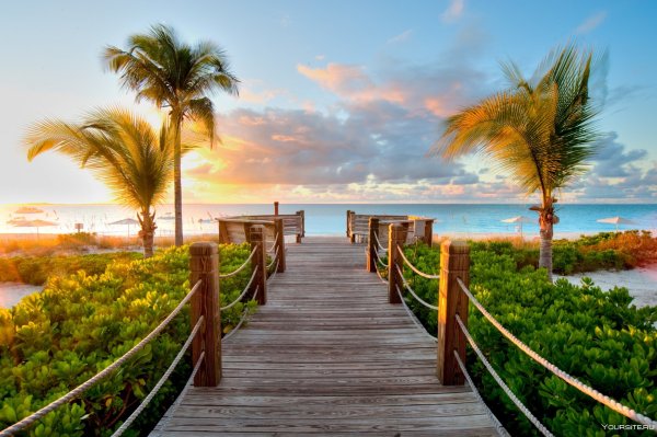 Сумасшедшие друзья