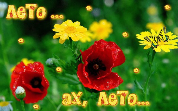 Открытки о лете