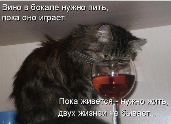 Девушка в венке из полевых цветов