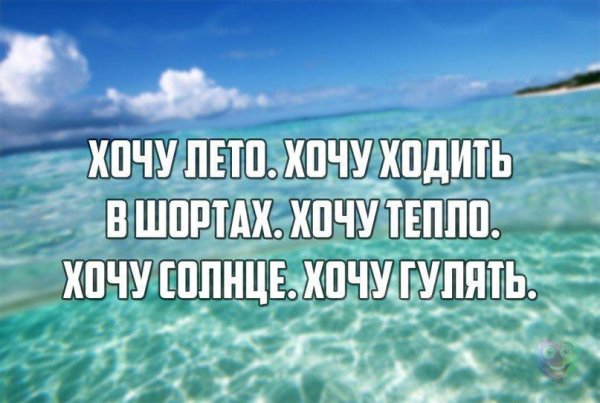 Хочется лето цитаты