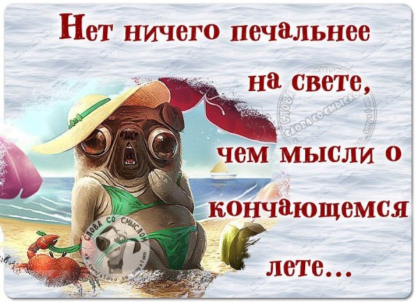 Афоризмы про лето прикольные и смешные
