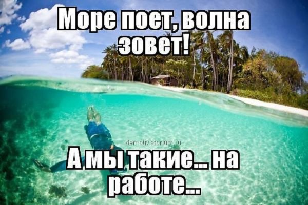 На море прикольные работа