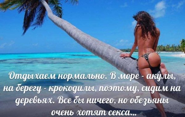 Цитаты про море прикольные