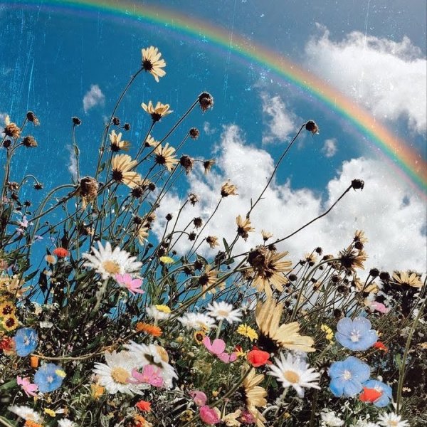 Летнее Вдохновение