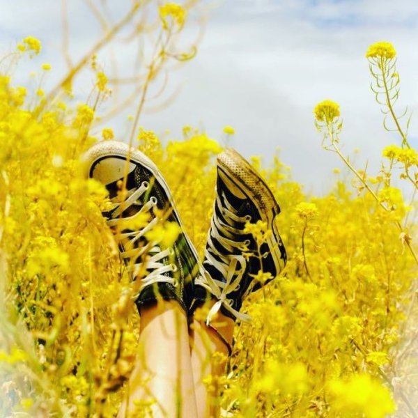 Эстетичные постеры на стену