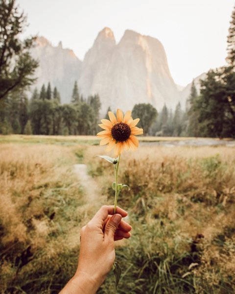 Пальмы и солнцезащитные очки