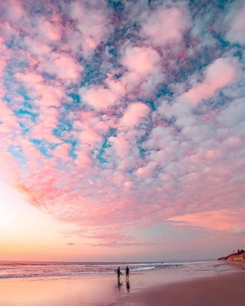 Лето Эстетика