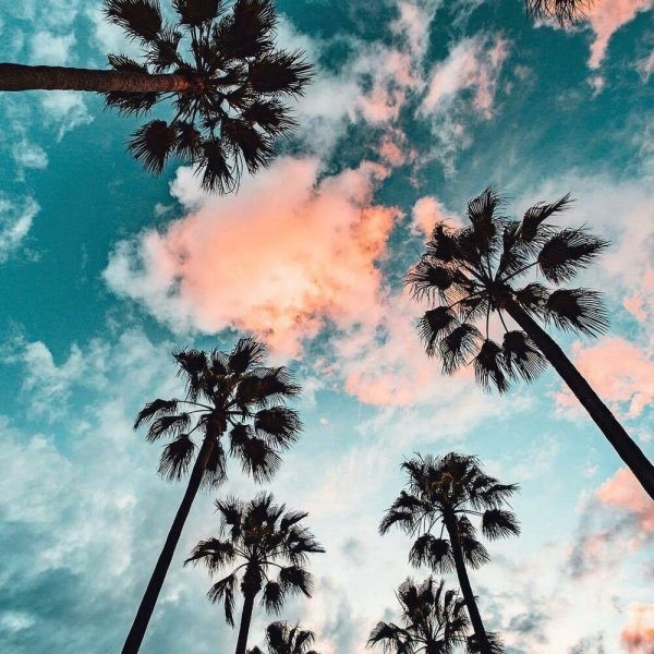 Разноцветное мороженое