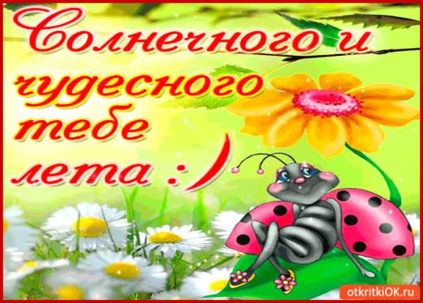 С летом поздравления