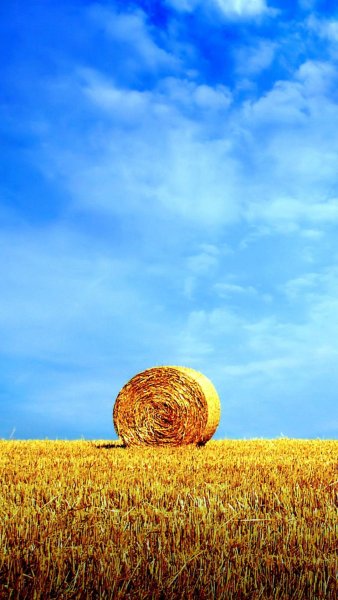 Фотографирует на смартфон