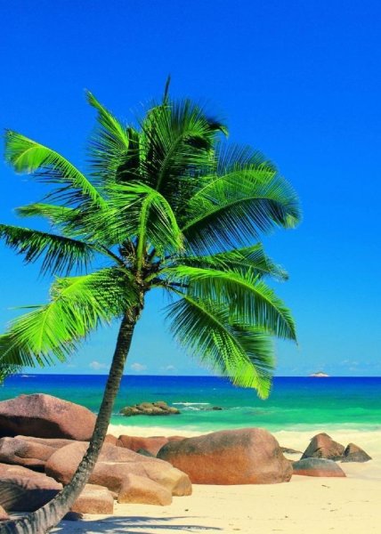 Обои на телефон море