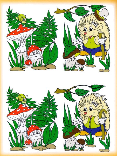Задания для детей 5-6 лет отличия