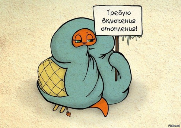 Приколы про холод в квартире