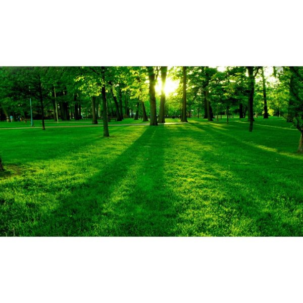 Верните мне лето