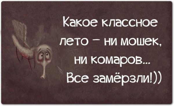 Высказывания про Холодное лето