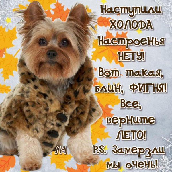 Пожелания не мерзнуть