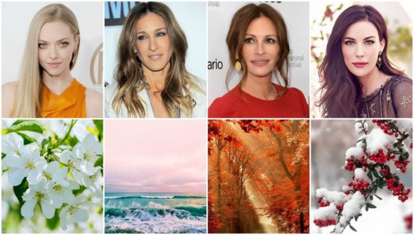 Цветотип Весна лето осень зима