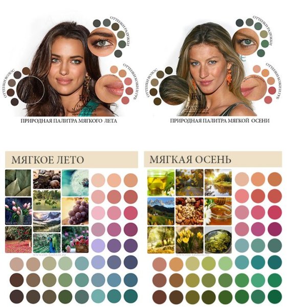 Цветотип мягкое лето