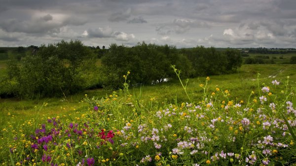 Лето природа