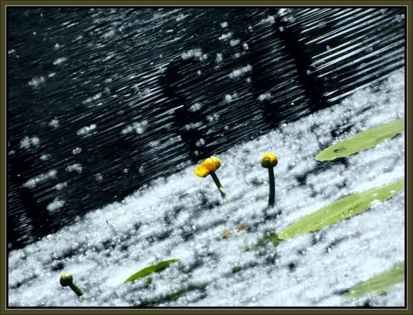 Летний снег сериал