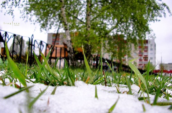 Баннер лето зимой