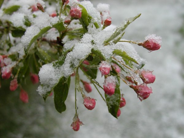 Дождь в осеннем лесу