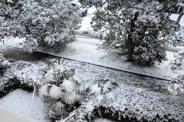 Зима радость