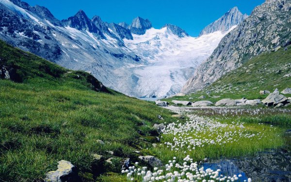 Берег реки зимой