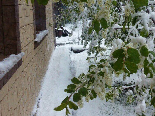 Снег летом в России