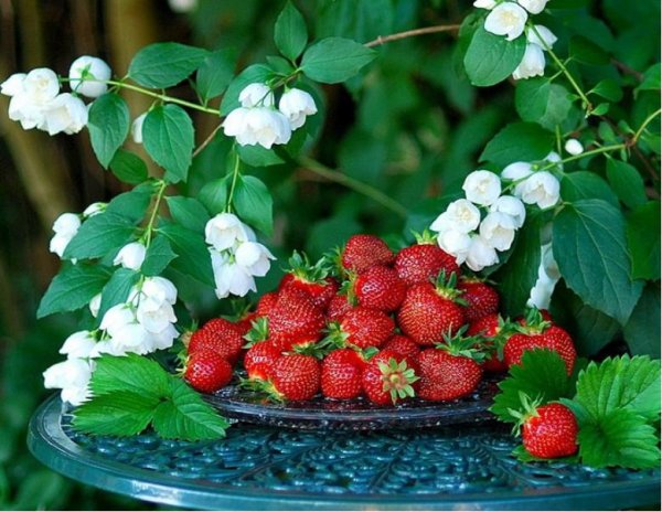 С последним днем июля