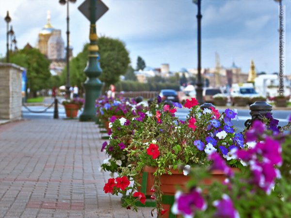 Питер летом