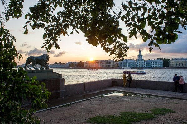 Г Солнечный Санкт Петербург фото