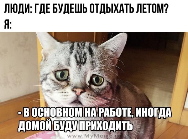 Где бы дешь отдыхать летом в основном на рабоие
