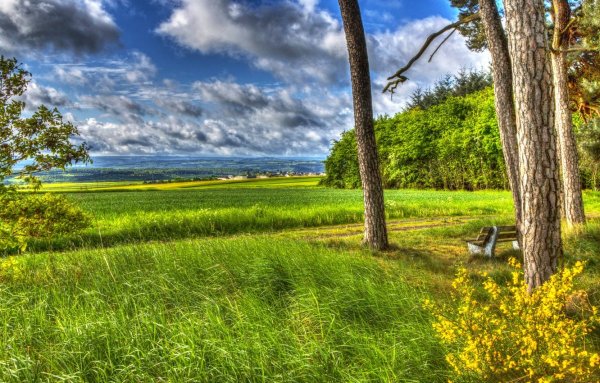 Michael James Smith картины