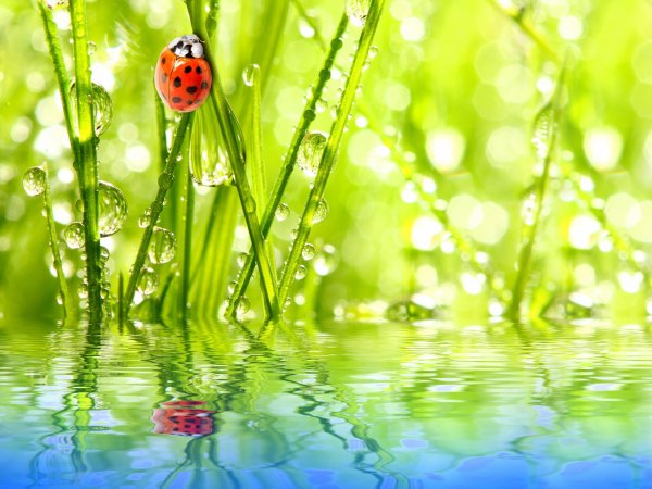 Радуга в капле воды