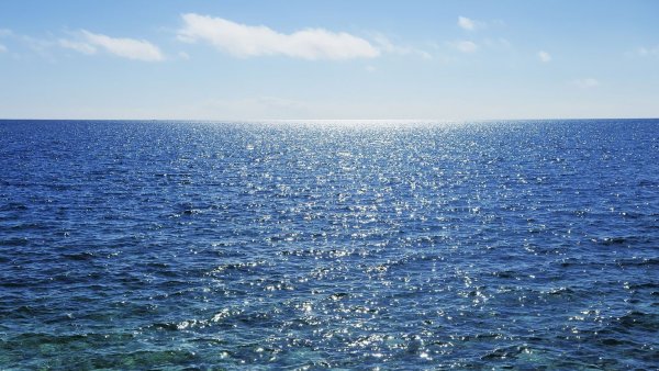 Безопасность на воде для детей