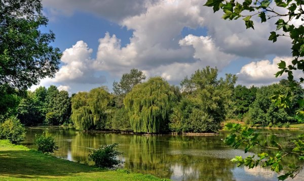 Природа река