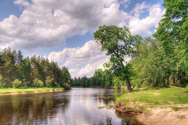 Летом у реки