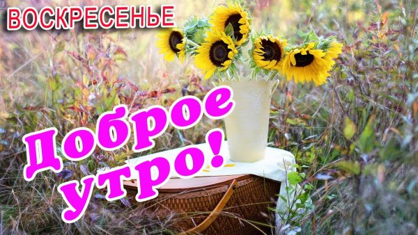 Доброе утро воскресенье лето