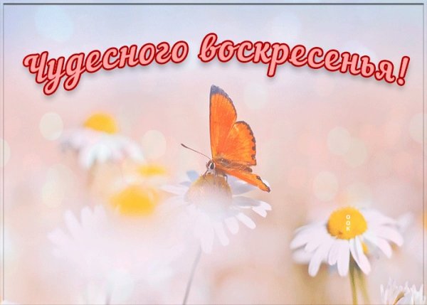 Доброго воскресенья и хорошего настроения