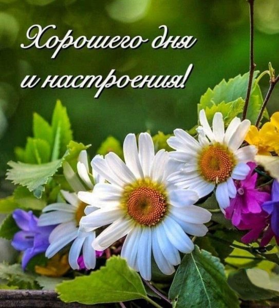 Хорошего дня и отличного настроения