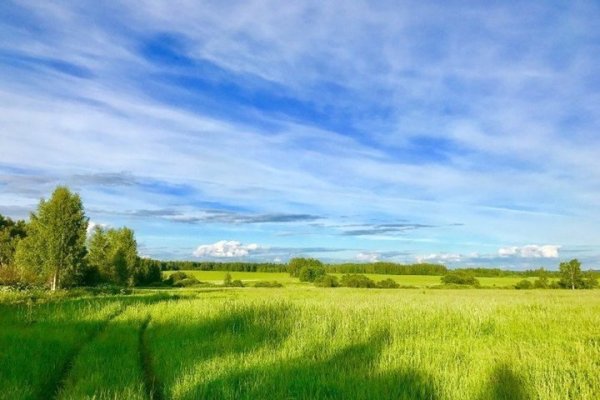 Ясная погода