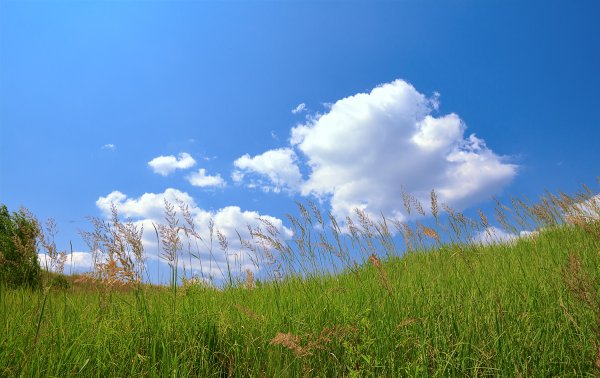 Лето солнце