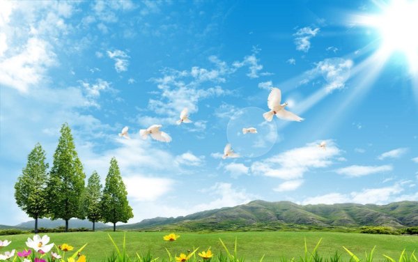 Солнечное небо