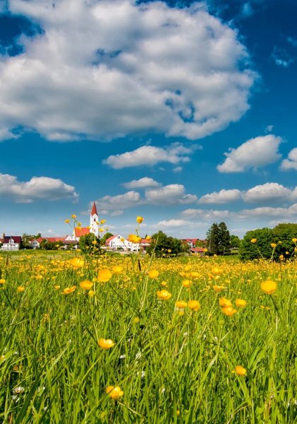 Мечтай планируй действуй